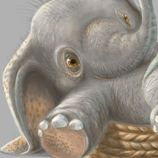 Elephant_Play_Name-art-d3D101-6