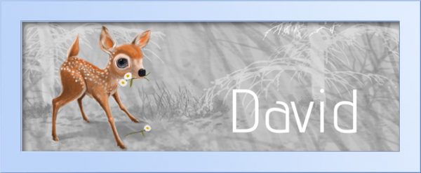 Fawn-Personalized Name Art