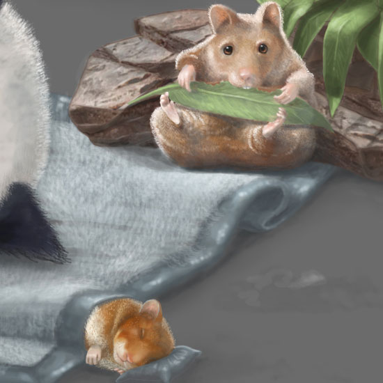 Panda-baby-name-art-d3D105-2