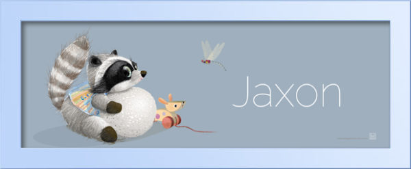 Personalized baby gift ideas-Raccoon